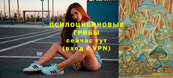2c-b Богородицк