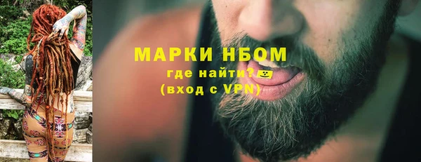 амф Бородино