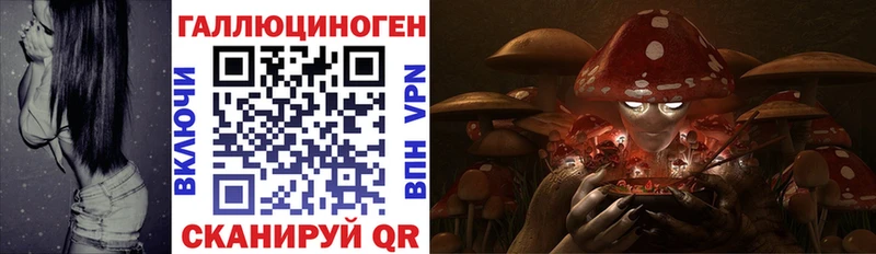 Галлюциногенные грибы Psilocybe  mega зеркало  Верхний Уфалей 