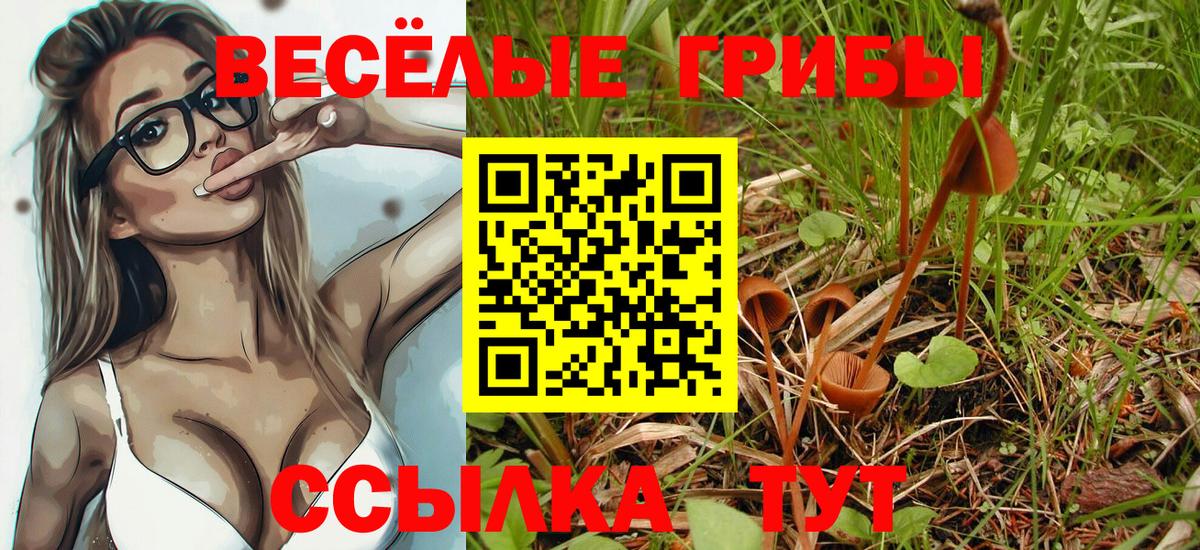 Галлюциногенные грибы прущие грибы  Галлюциногенные грибы GOLDEN TEACHER  Вход с VPN  Верхний Уфалей 